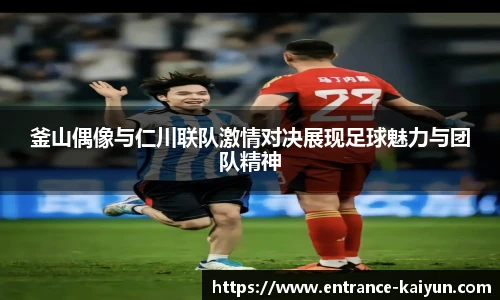 开云app